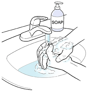 Hands washing with soap in sink.